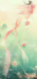 朦朦胧胧