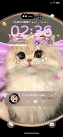 纯情小猫 多模式