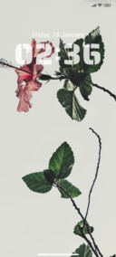 Sweet Leaf