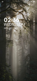 小路迷雾简约