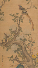 迎来春无限