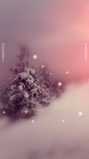 初雪