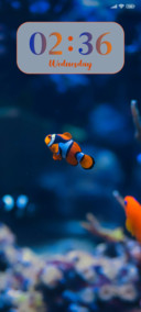 Aquarium