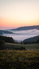 View on fog engulfs the forest during sunrise