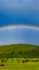The Sky Over Hulunbeir Grassland Under the Rainbow