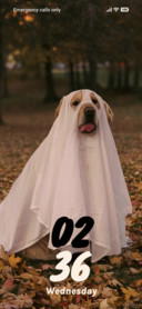 Ghost Pup