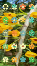 Yellow Flower Group_DWM3
