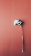 Creative wallpaper-13
