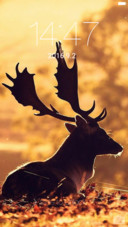 iOS Stag
