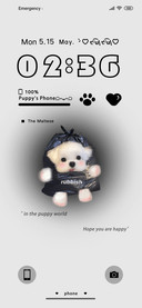 Worry Free Puppy