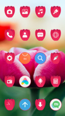 Tulips_3MDP