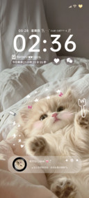 INS小猫暖暖心窝