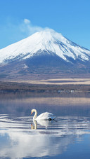 Scenery (5)