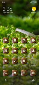 Moss