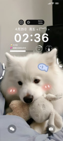 忧郁小耶耶