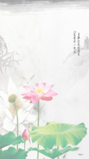 心如止水