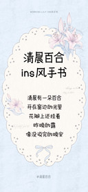 清晨百合ins风手书