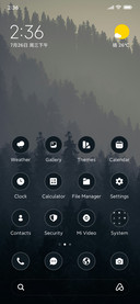 Dark Forest