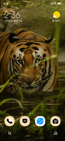 Silent Hunter
