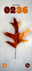 Leaf in Ice