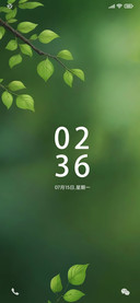护眼小清新