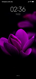 Flower Vi_DWM3