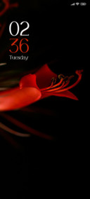 Amoled Red