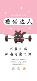 撸猫达人
