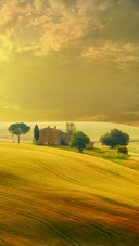 Landscape in Tuscany at Sunset in Summer