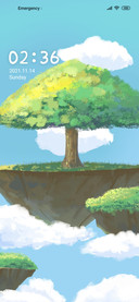 Tree of the sky