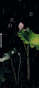 出淤泥而不染