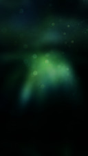 梦幻蝶影
