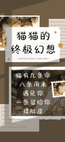 猫猫的终极幻想