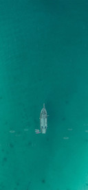 海洋绿