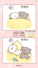 蜜桃猫之小猫粮
