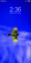 Fly high_DWM19
