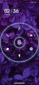 Purple_5