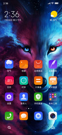 Wolf Galaxy