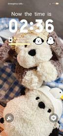 Stupid Dog