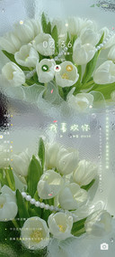 玻璃滤镜夏日郁金香