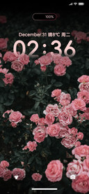 ins花