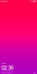 POLO_DWM2