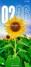 心向光明