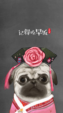 吾皇巴扎黑 (8)