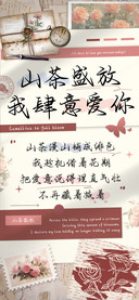 山茶盛放我肆意爱你