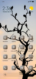 Birds
