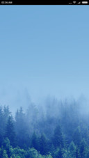 The environment