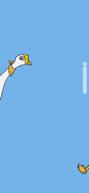 大鹅