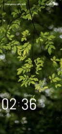 Greenery