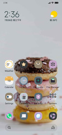 donut